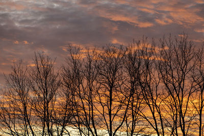 Low angle view of bare trees against orange sky