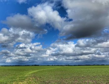 Scenic view of agricultural field against sky