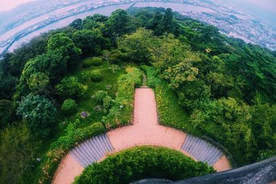 High angle view of plants and trees against sky