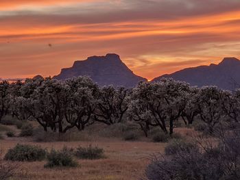 Scenic view of landscape against sky during sunset