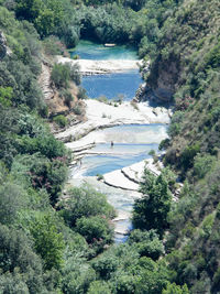 High angle view of river amidst trees in forest