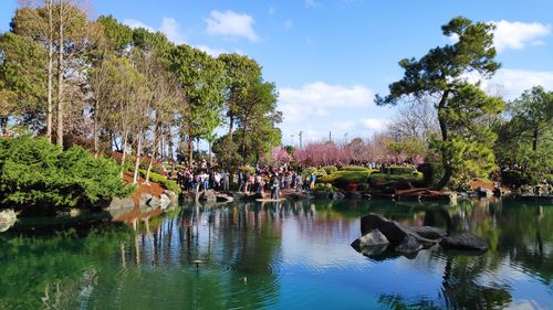 Cheery blossom festival sydney 2019