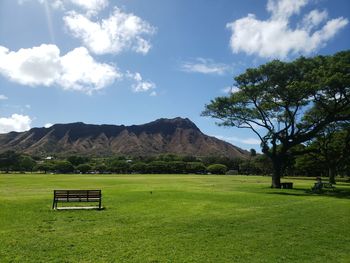 Scenic view of field against sky