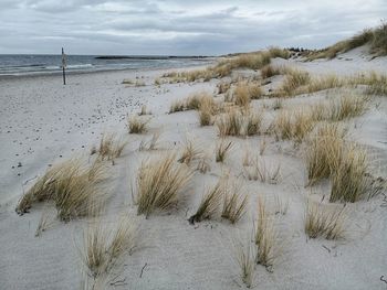 Scenic view of beach against sky