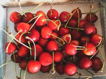 Directly above shot of cherries