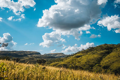 Scenic view of field against sky