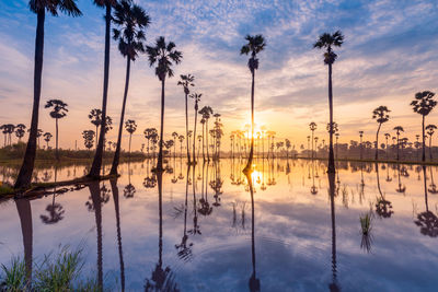 Silhouette palm trees by lake against sky during sunset