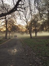 People walking on footpath in park