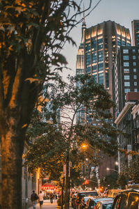 City street amidst buildings at dusk