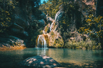 Scenic view of waterfall in forest