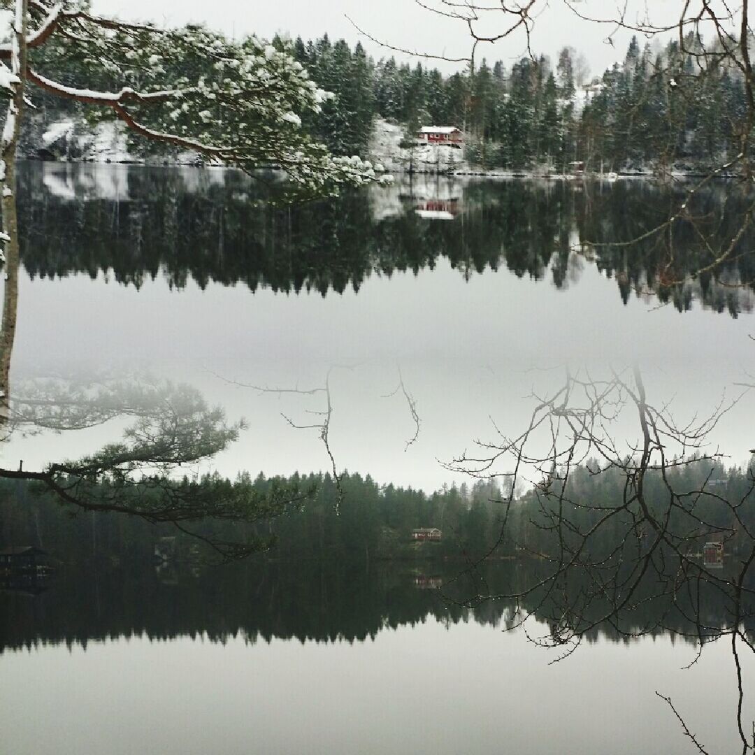 reflection, water, lake, tranquility, waterfront, tree, tranquil scene, standing water, nature, scenics, beauty in nature, lakeshore, calm, day, sky, no people, plant, outdoors, river, bare tree