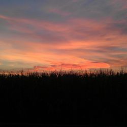 Scenic view of landscape at sunset