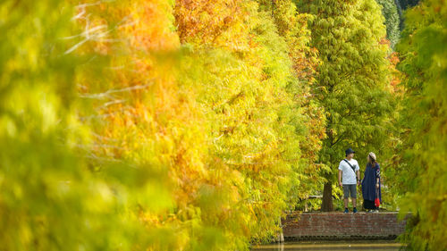 Rear view of people standing by plants during autumn