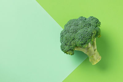 Close-up of broccoli against green background