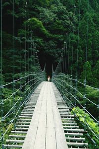 Footbridge in forest