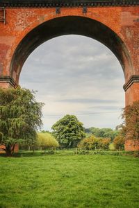 Trees on field against sky