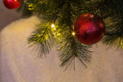 Close-up of christmas tree