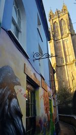 Low angle view of bird in city