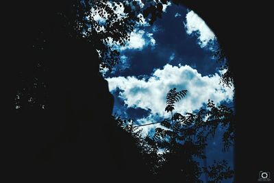 Low angle view of silhouette bird flying against sky