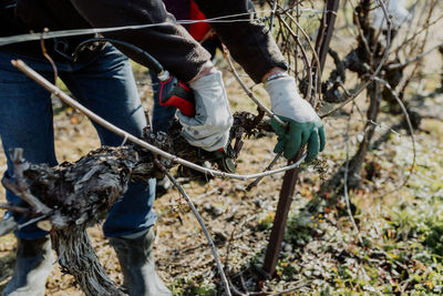 Low section of man working on field