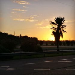 Road by trees against sky during sunset