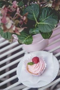 Fruity cupcake with whipped cream and raspberry on a plate