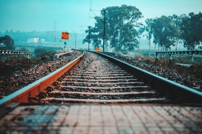 Surface level of railroad tracks against trees