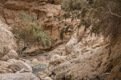 Rock formations in cave