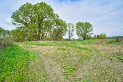 Scenic view of field against sky