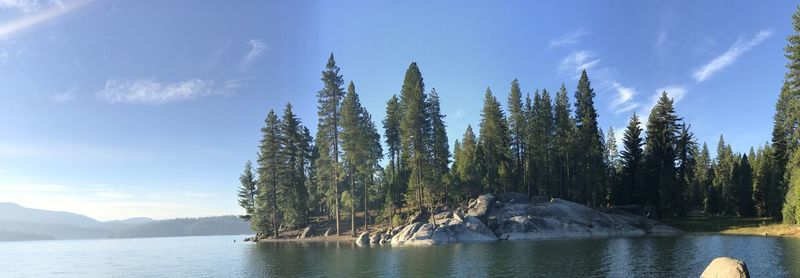 Panoramic view of trees against sky