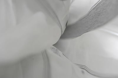 Close-up of white flower