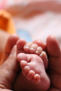 Close-up of person holding baby feet