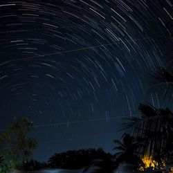Low angle view of trees against sky at night