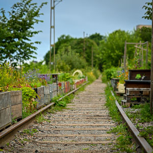 track