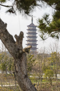 Low angle view of trees and building against sky