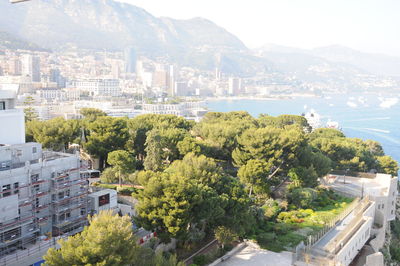 High angle view of trees and buildings in city