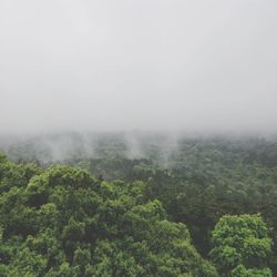 Scenic view of landscape against sky during foggy weather