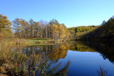 Scenic view of lake against clear blue sky