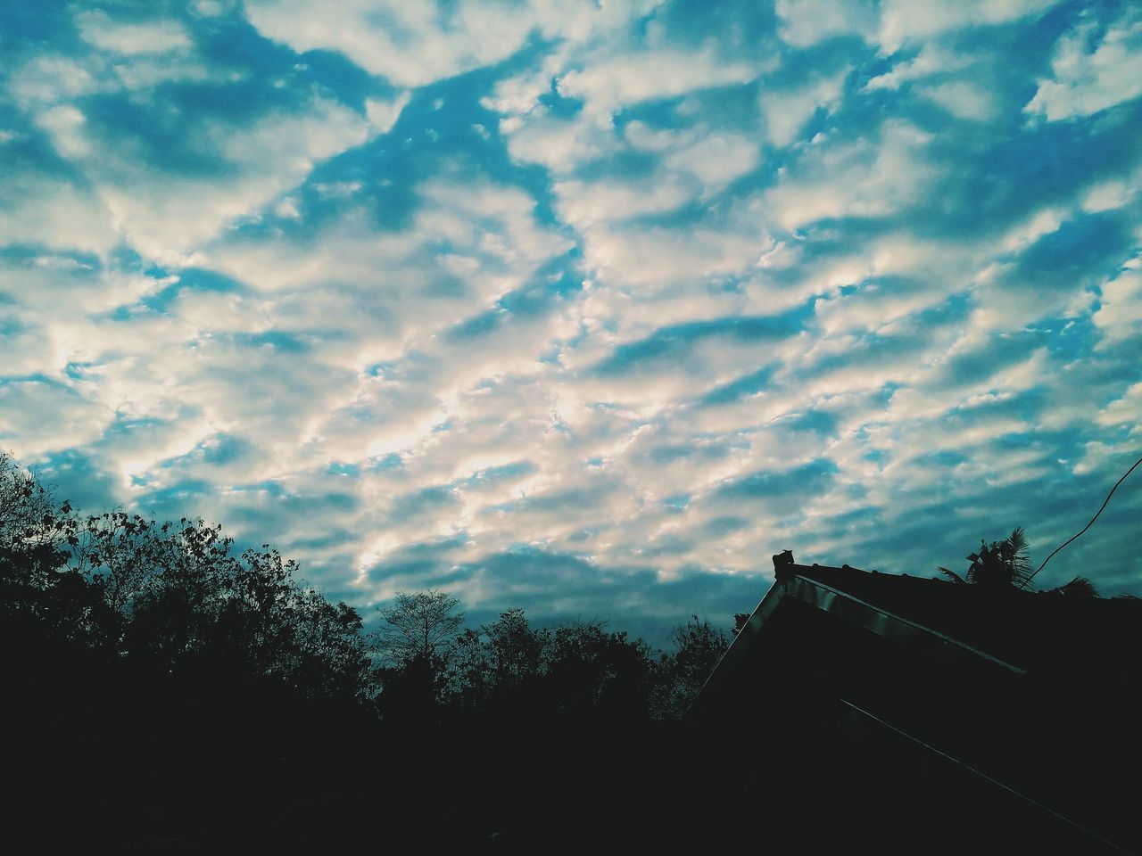 LOW ANGLE VIEW OF SKY OVER SILHOUETTE TREES