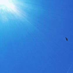 Low angle view of tree against clear blue sky