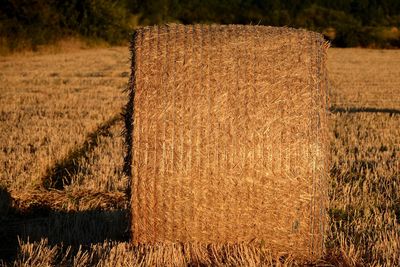 Straw bale