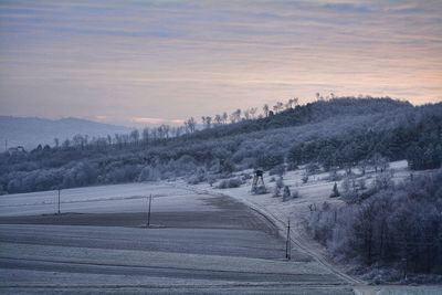 Scenic view of snow covered field