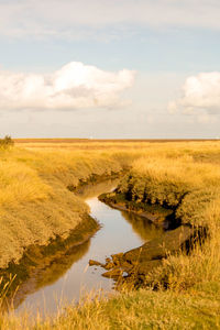 Scenic view of river amidst field against sky