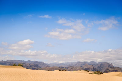 Scenic view of desert against sky