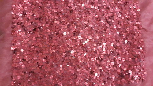 Close-up of pink flower