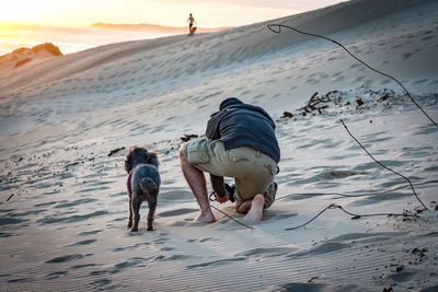 Rear view of dog walking on beach