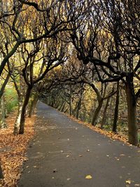 Empty road amidst trees during autumn