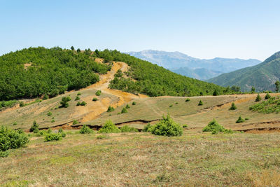 Scenic view of landscape against clear sky