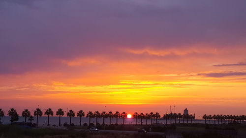 Silhouette of people on beach during sunset