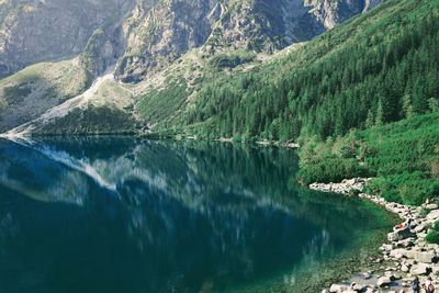 Aerial view of lake in forest